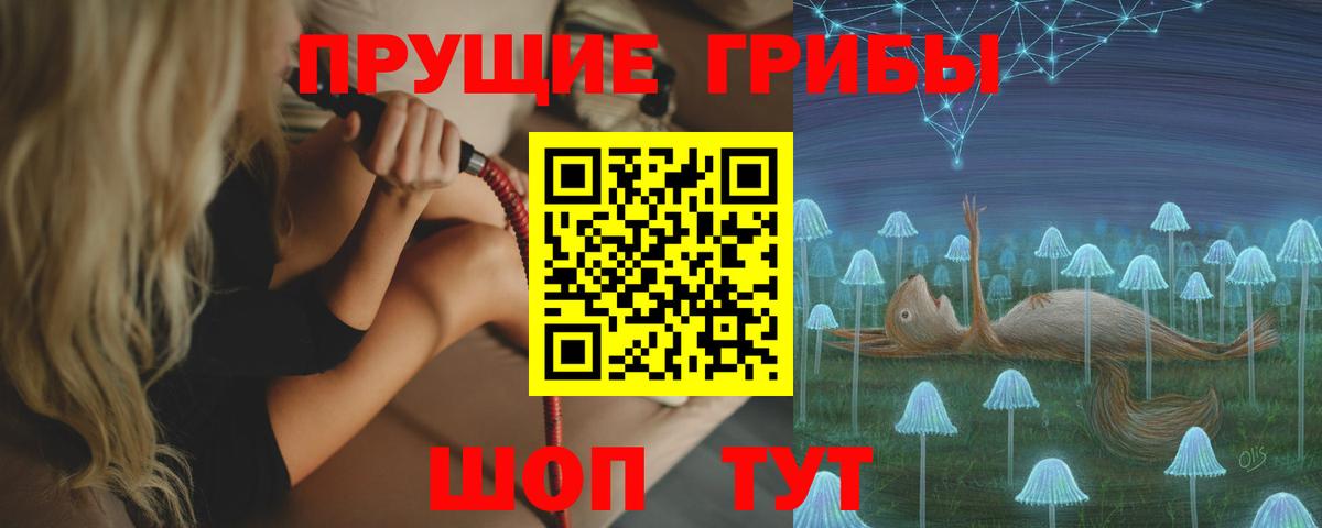 Галлюциногенные грибы Psilocybe  Вход с VPN  даркнет сайт  Дмитров 